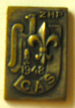 Odznaka CAS